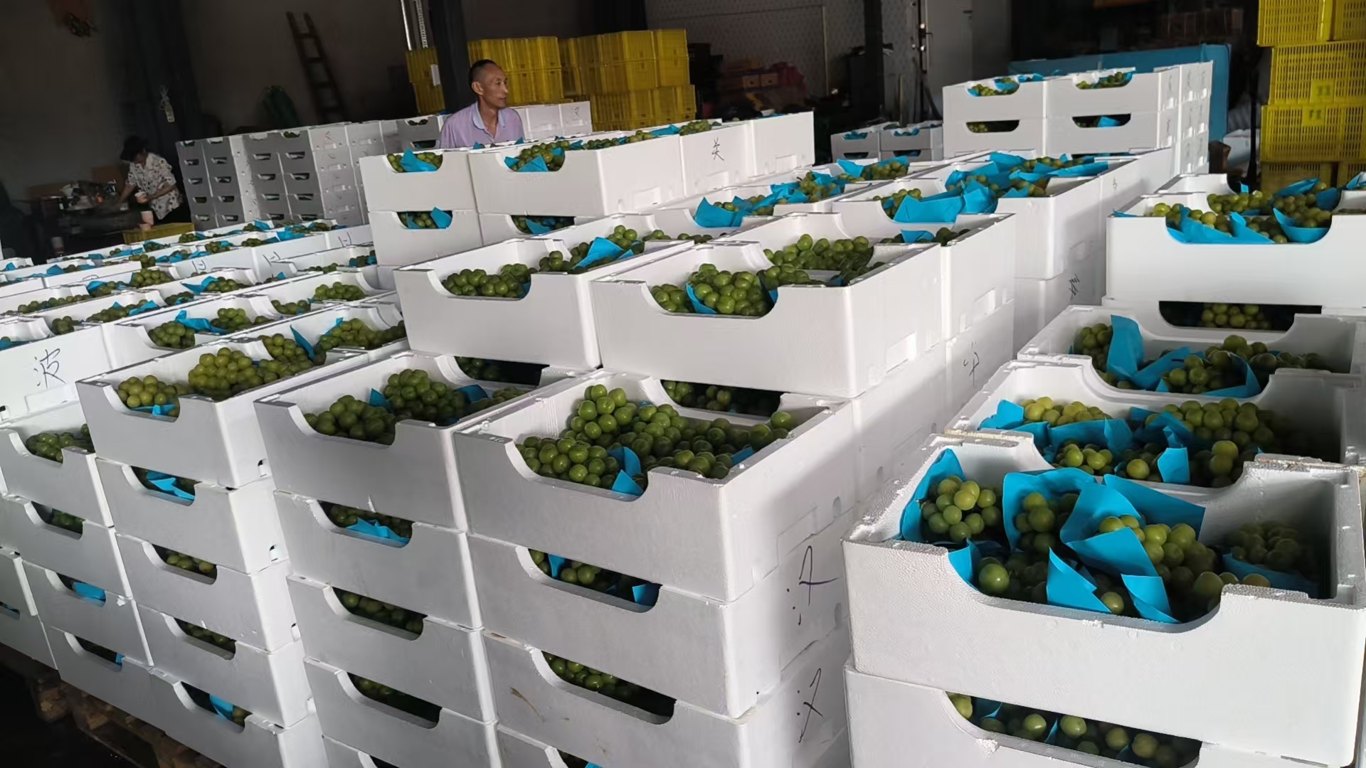 荆州社区团购
